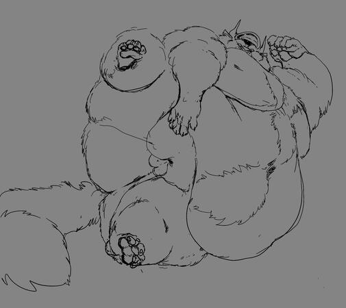 Sketch